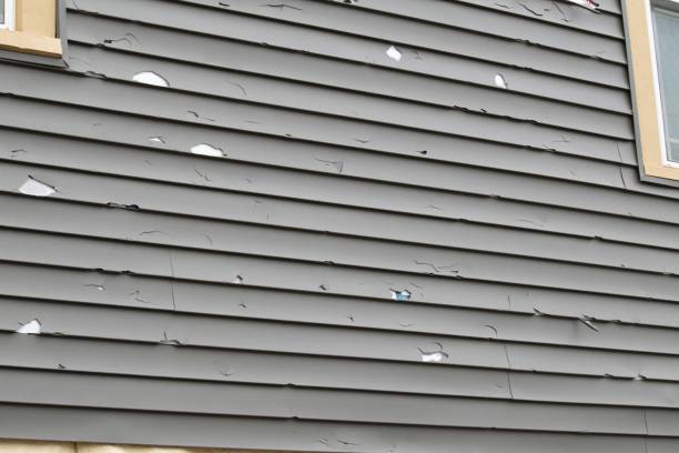 Best Aluminum Siding Installation  in Indian Springs, GA