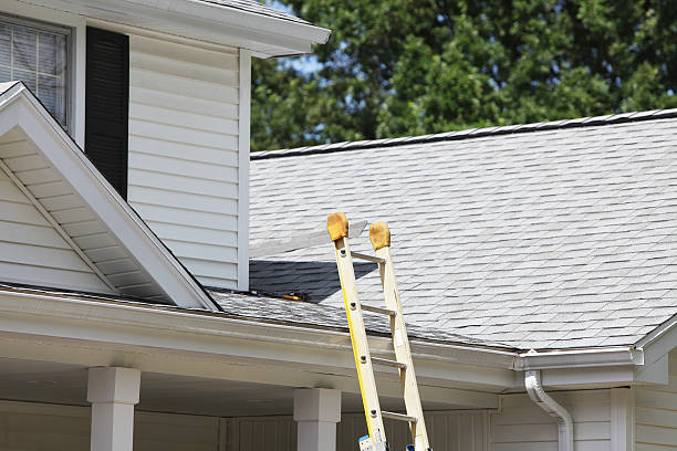 Affordable siding repair and maintenance services in Indian Springs, GA